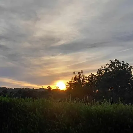 Casa Joaquina Carvoeiro (Lagoa)