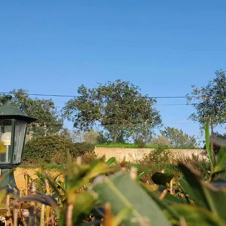 Casa Joaquina * Carvoeiro (Lagoa)